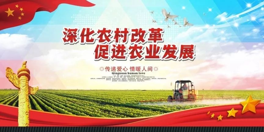 追梦新疆，奋斗与蜕变之路最新落户纪实