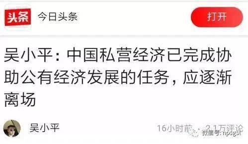 叶寒最新观点阐述，多维度视角下的深度探讨