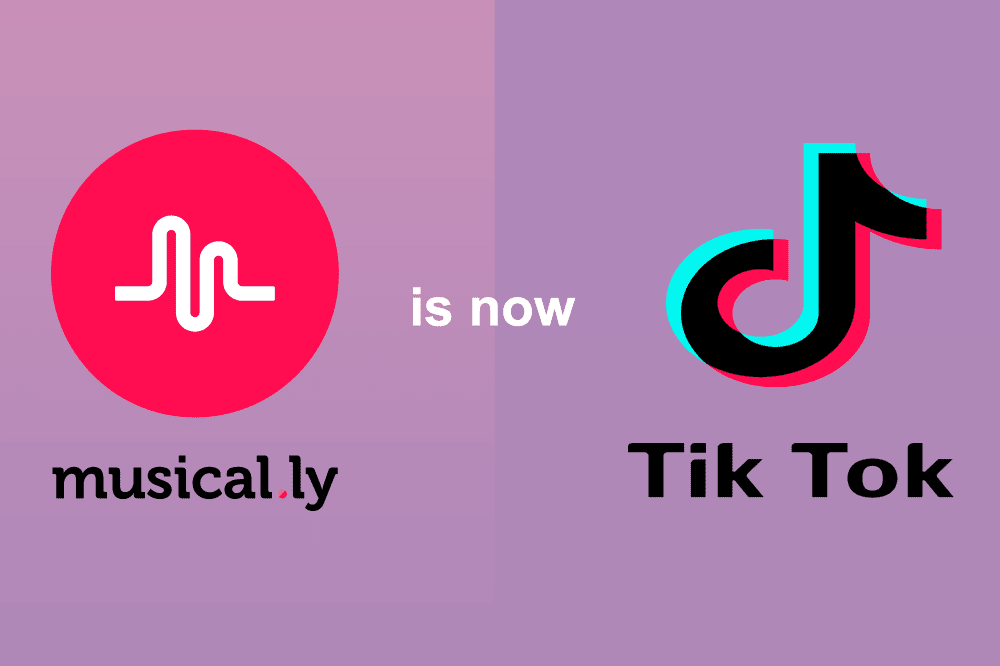 TikTok最新数据详解，步骤指南与趋势分析