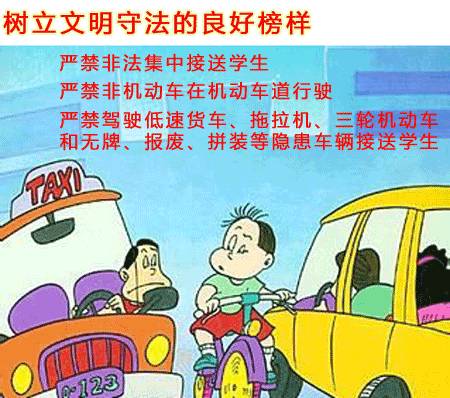 泉州最新禁令，城市管理与公众生活的和谐共进