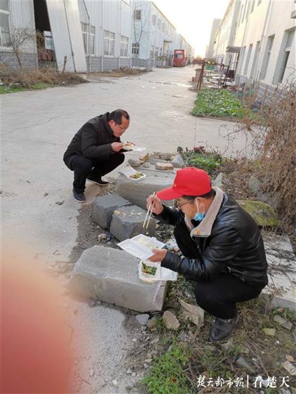 防疫最新数据与深度分析，某某观点透视