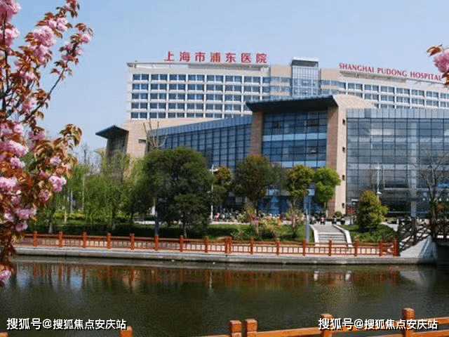 最新省计划观点阐述与立场分析详解