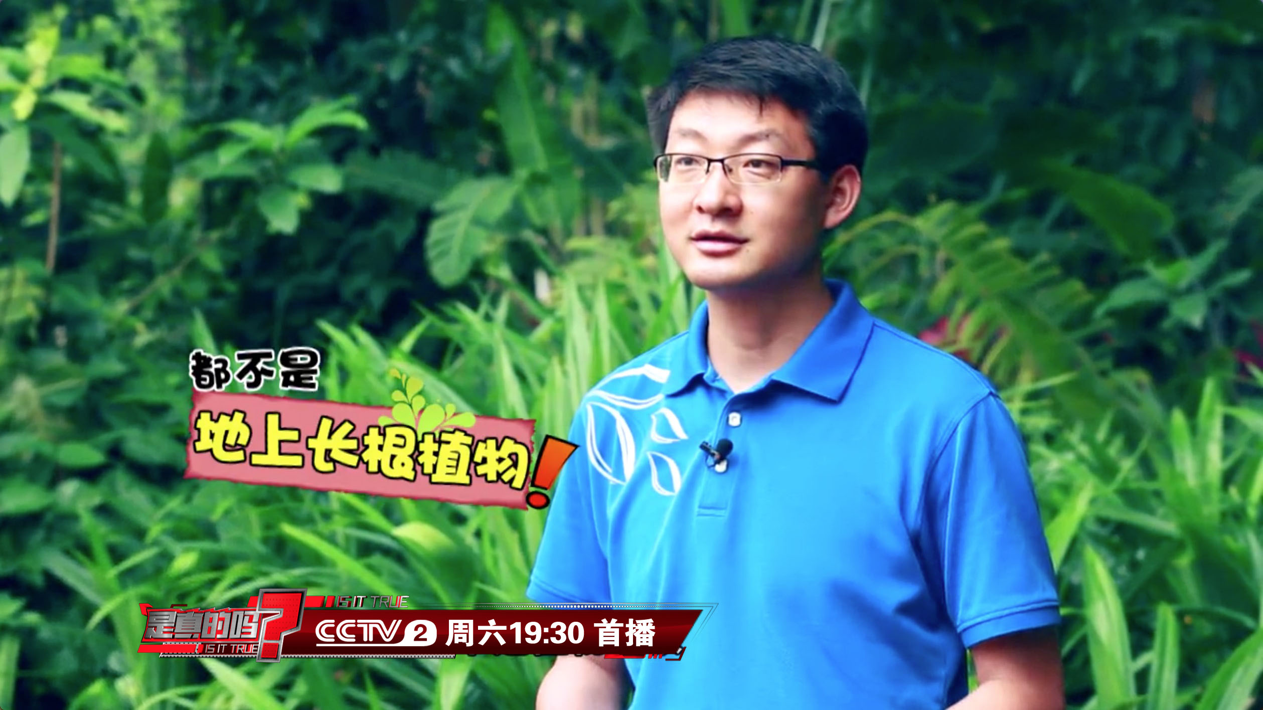 陈生最新探索，与自然美景的梦幻之旅，寻觅内心宁静之地