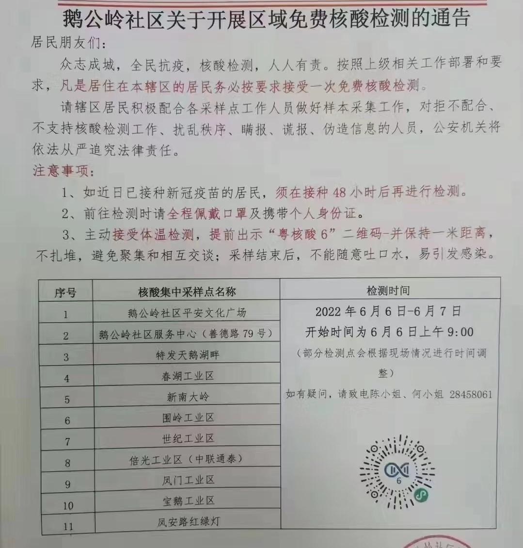 全园最新疫情消息综述，最新动态与论述