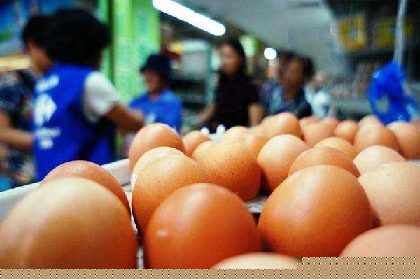 最新鸡蛋成本详解，计算与评估方法指南