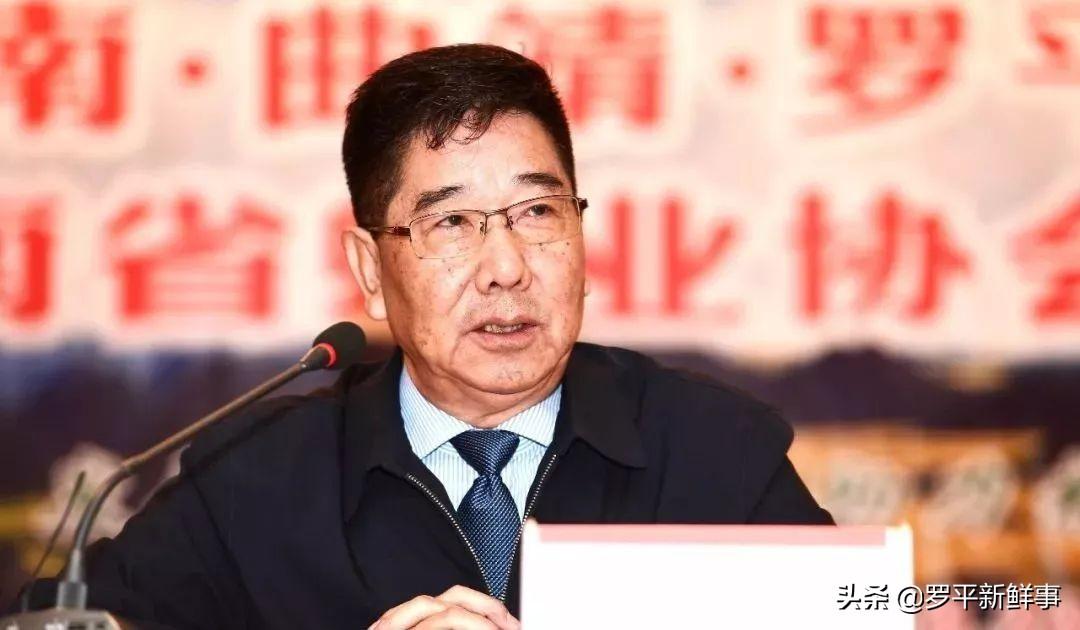 会员最新状态概览，探讨要点、动态与未来趋势