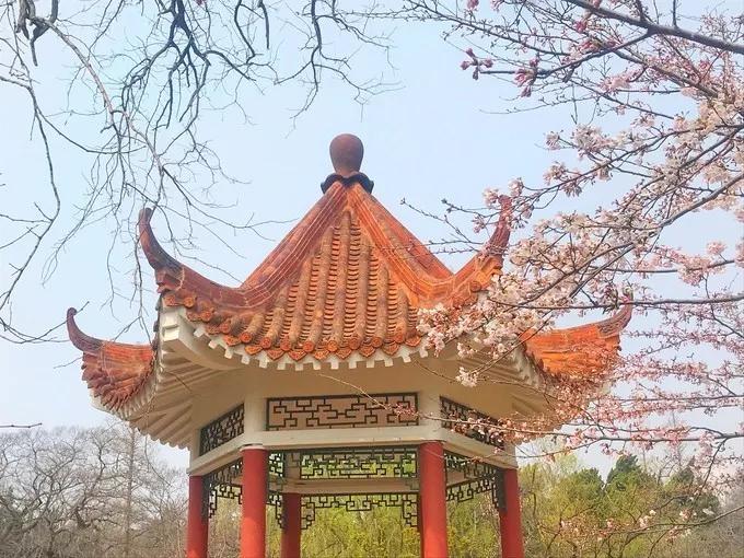 最新式战舰，自然美景的宁静探索之旅