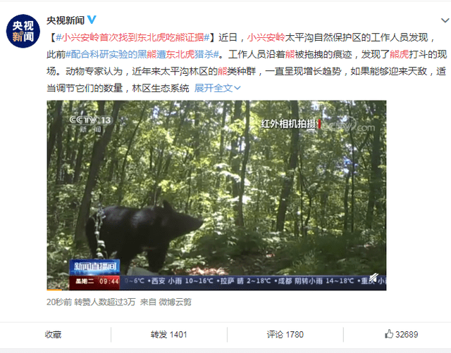 虎最新影库，自然美景的轻松探索之旅