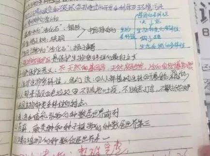 最新手帐本，记录变化，塑造自信与成就之路