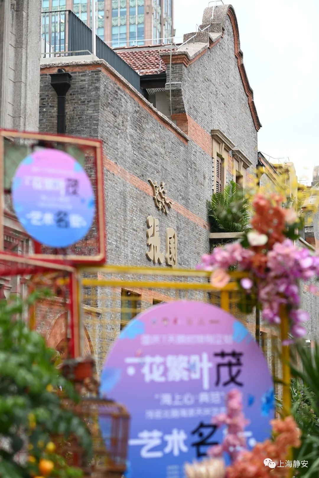 踏花行最新探索，时尚潮流与历史文化交融的新纪元