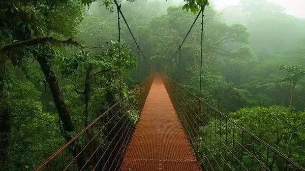 最新考研水旱区，自然美景的探索之旅