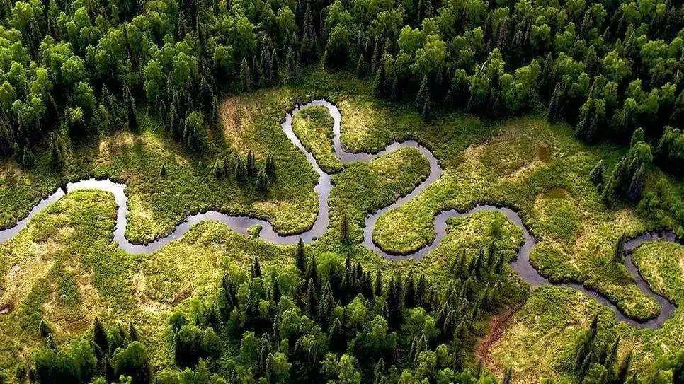 亚马逊行业最新动态与探索自然美景之旅，重拾心灵宁静的旅程