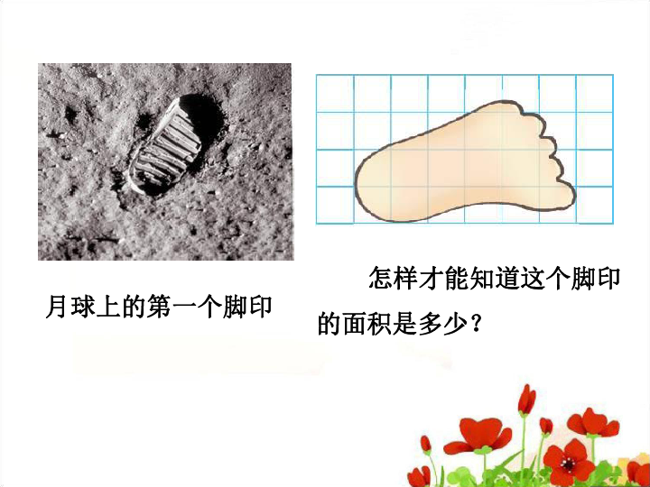 张无忍最新动态揭秘，探索成长之路