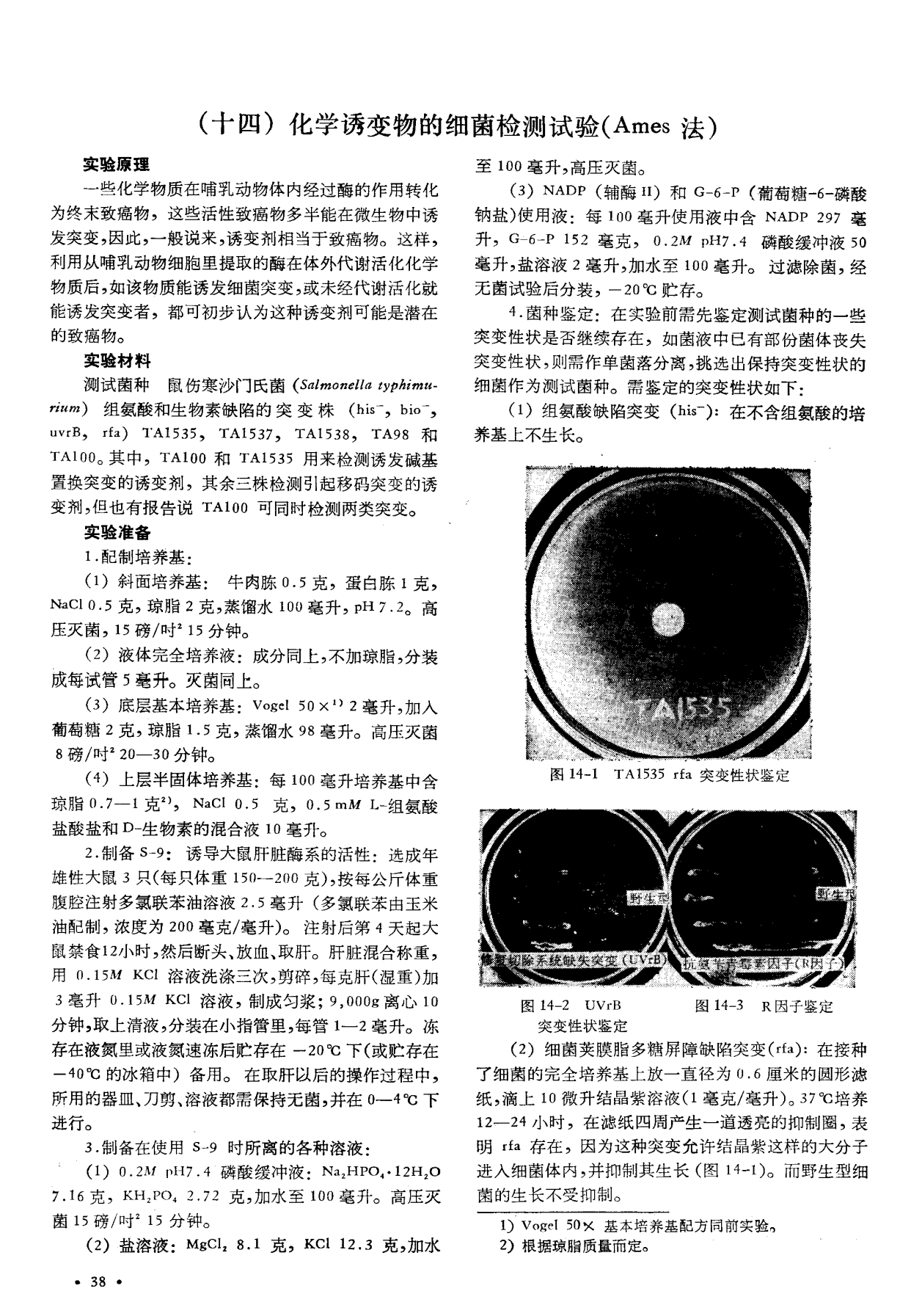 最新诱变剂使用指南，步骤详解