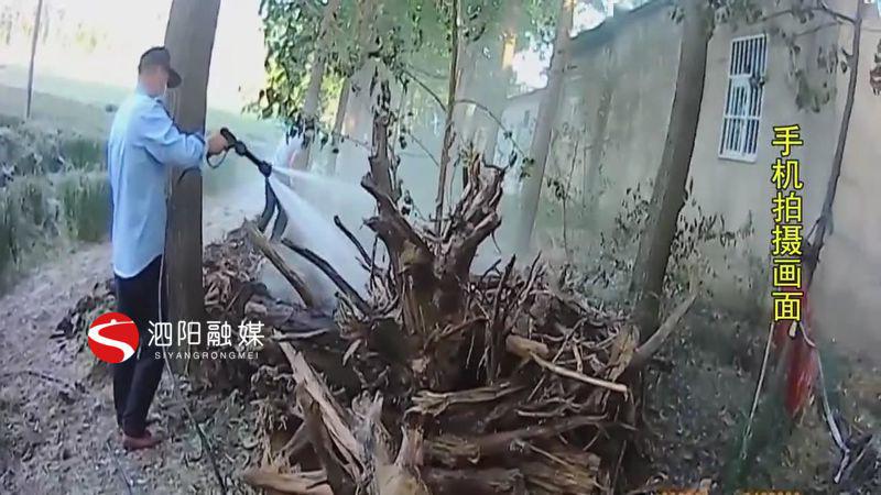 最新烧网器，心灵与自然的完美邂逅之旅