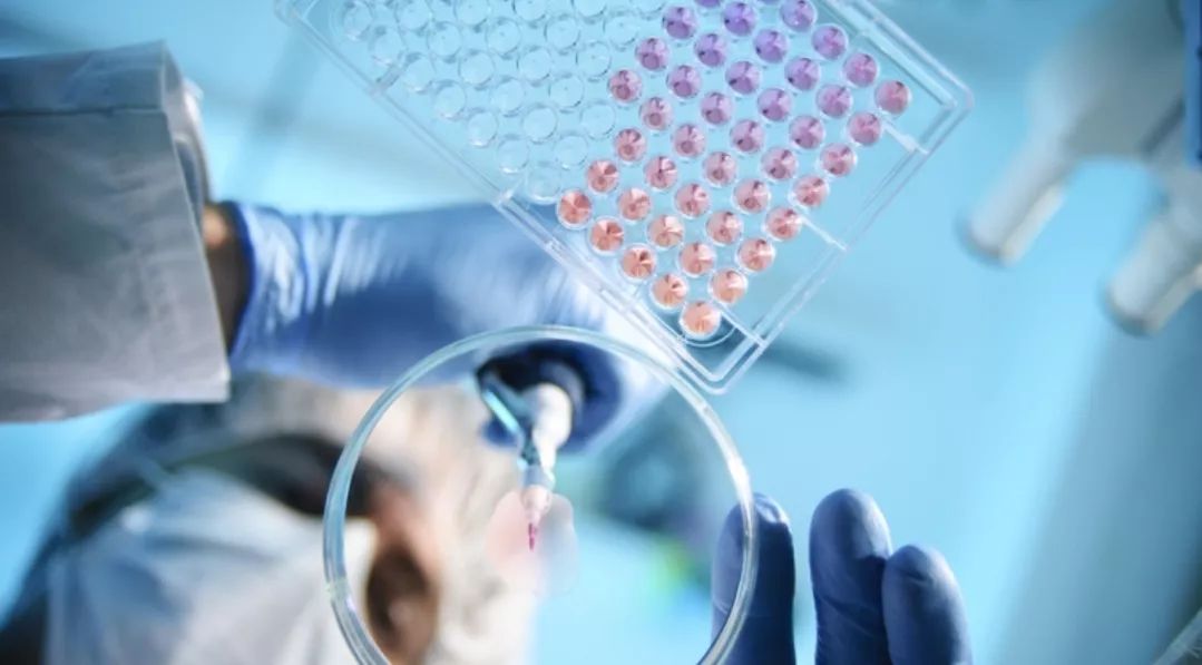 巷弄深处的医学宝藏，最新医学指南全览