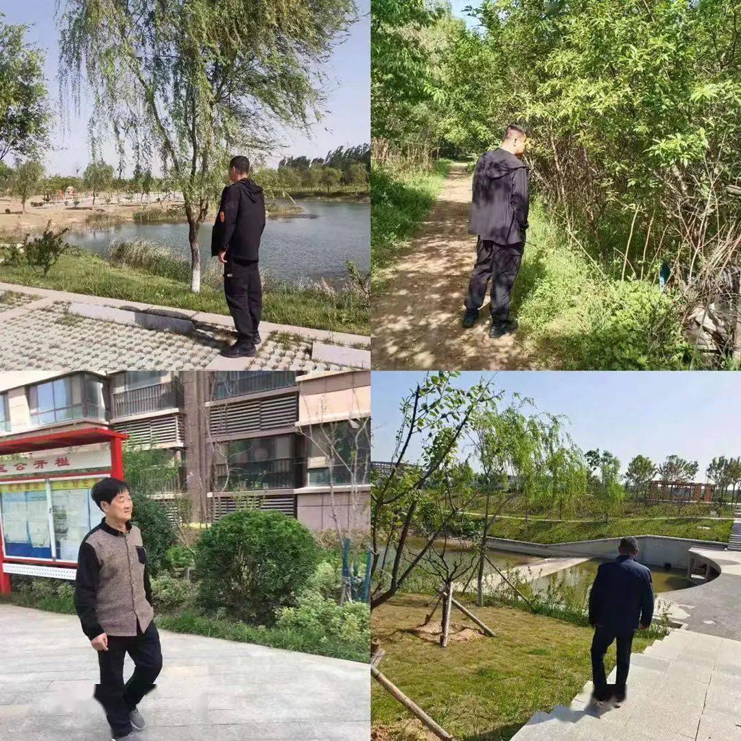 博什兰最新动态，探索最新发展与创新