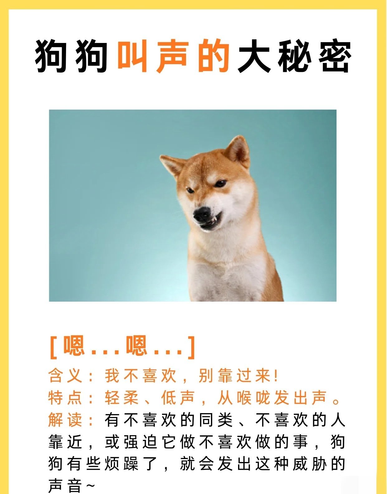 最新狗叫声学习指南，掌握技巧，一步步成为专家