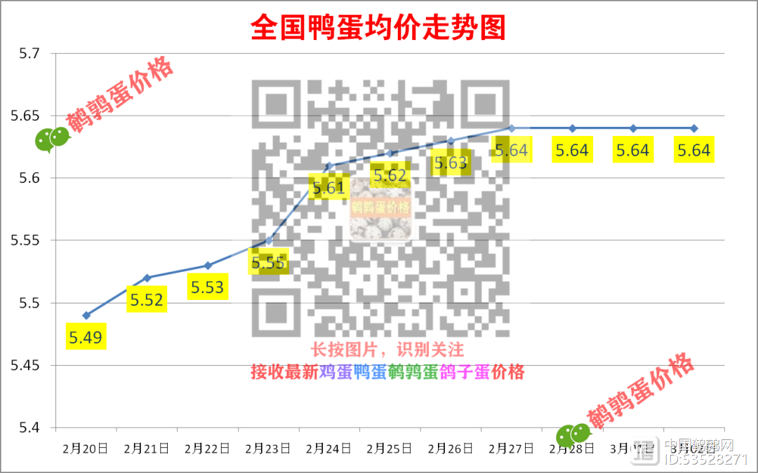 今日鸭蛋最新价格，市场分析、趋势预测及科普解读