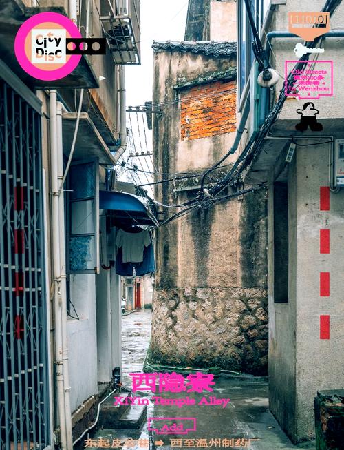 刘德乐视角下的城市小巷温馨日常